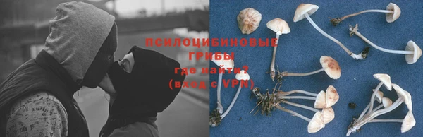 PSILOCYBIN Зерноград