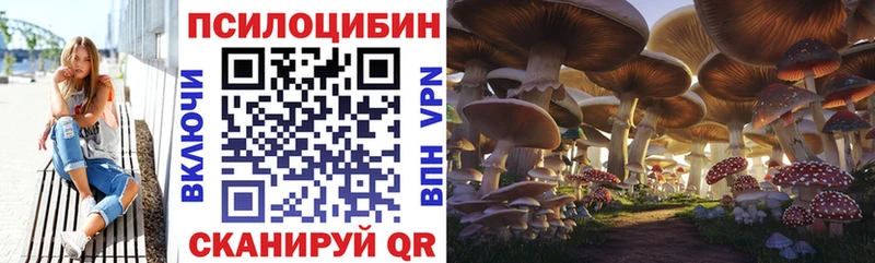 Галлюциногенные грибы мицелий  Карабаново 